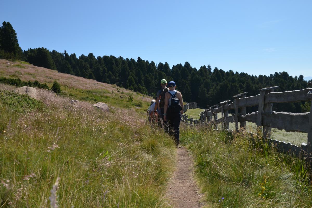 Latschenoelbrennerei und Platzer Alm 23.07.2019